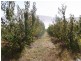 501 Upper Scamander Rd, Scamander TAS 7215