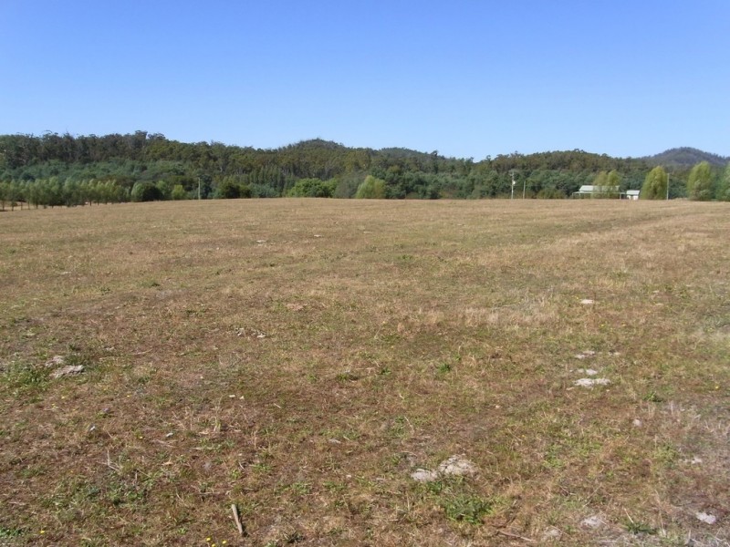 501 Upper Scamander Rd, Scamander TAS 7215