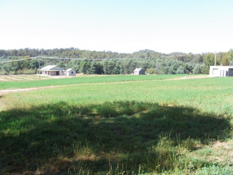 501 Upper Scamander Rd, Scamander TAS 7215