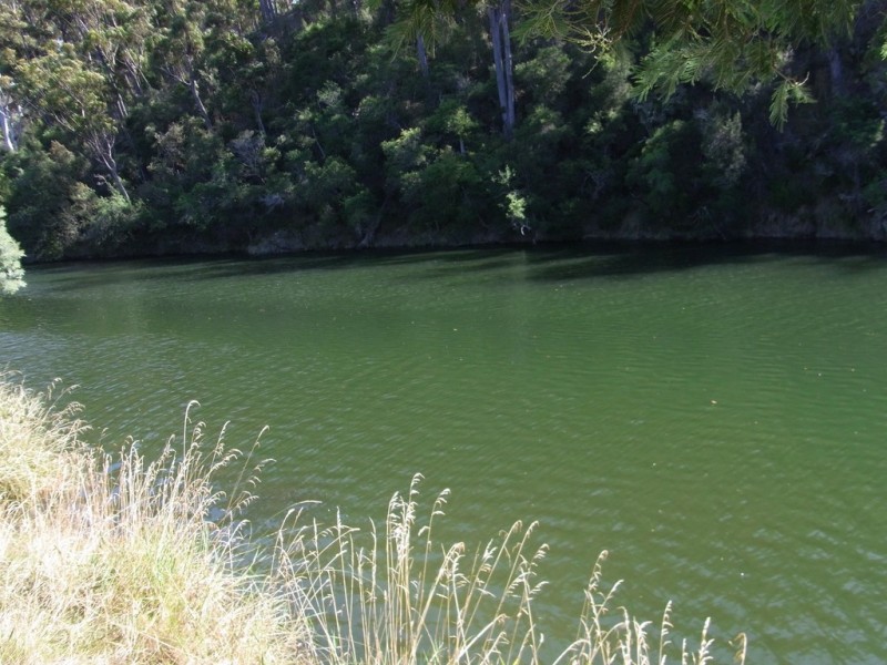 501 Upper Scamander Rd, Scamander TAS 7215