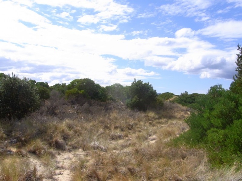 655 Dolphin Sands Road, Dolphin Sands TAS 7190