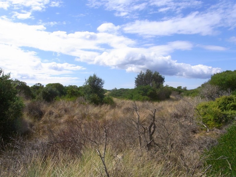 655 Dolphin Sands Road, Dolphin Sands TAS 7190