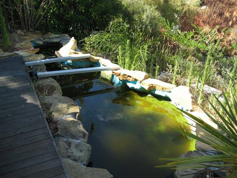 17 Levy Street, Bicheno TAS 7215