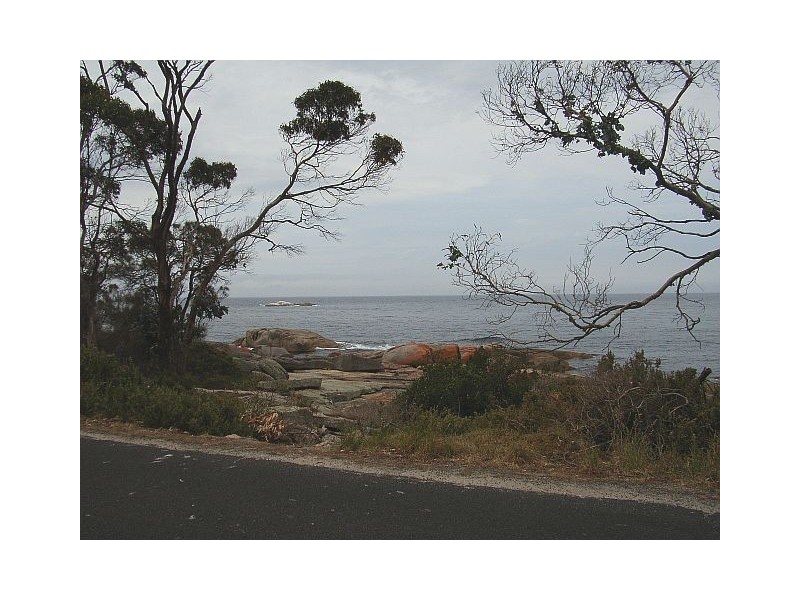 22 Douglas Street, Bicheno TAS 7215