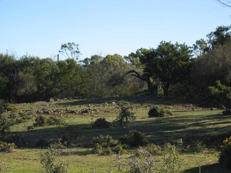 9 Tasman Highway, Swansea TAS 7190