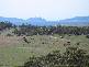 . Bresnehans Road, Little Swanport TAS 7190