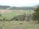 . Bresnehans Road, Little Swanport TAS 7190