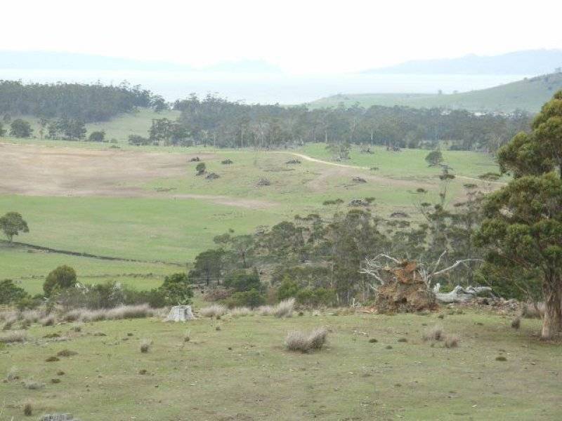 . Bresnehans Road, Little Swanport TAS 7190
