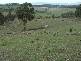 . Bresnehans Road, Little Swanport TAS 7190
