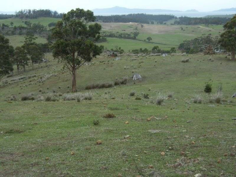 . Bresnehans Road, Little Swanport TAS 7190