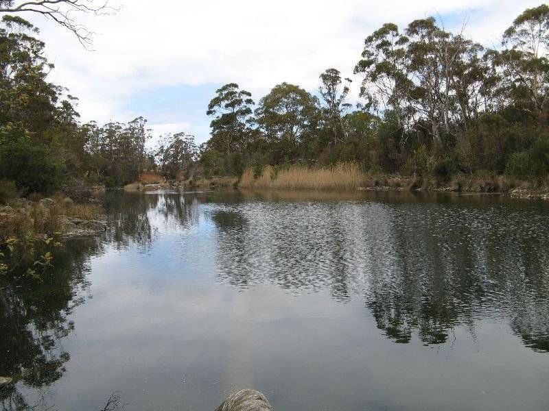 . Bresnehans Road, Little Swanport TAS 7190