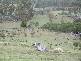 . Bresnehans Road, Little Swanport TAS 7190
