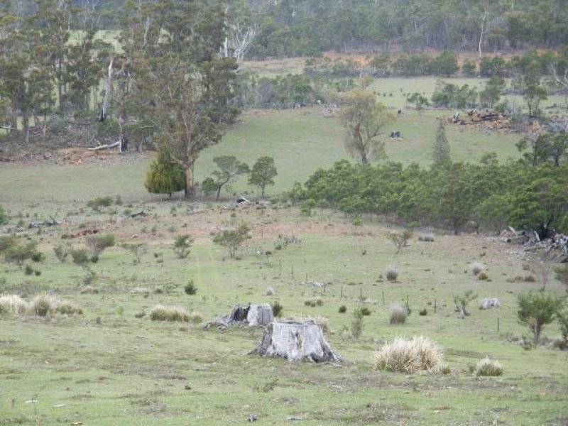 . Bresnehans Road, Little Swanport TAS 7190