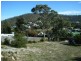 39B Burgess Street, Bicheno TAS 7215