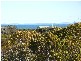 Lot 106 Dolphin Sands Road, Swansea TAS 7190