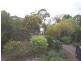 61 Tasman Highway, Orford TAS 7190