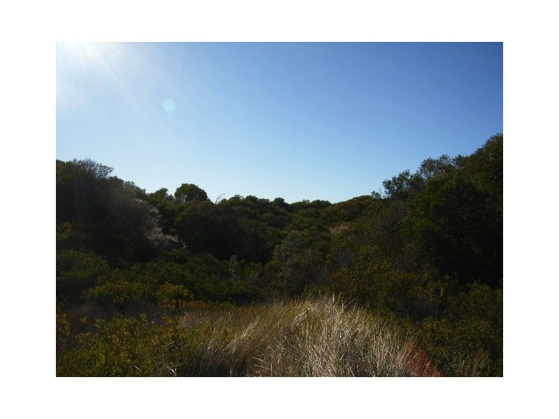 Lot 97 Dolphin Sands Road, Swansea TAS 7190