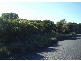 Lot 97 Dolphin Sands Road, Swansea TAS 7190