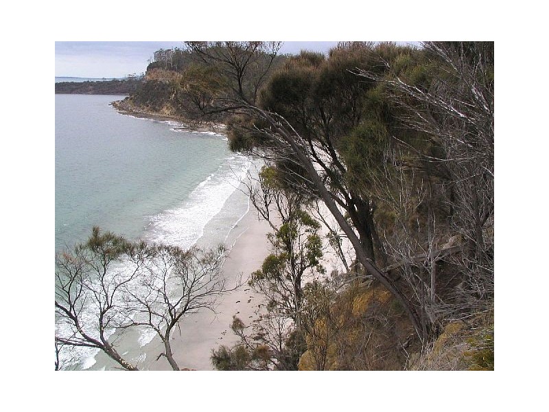 56 Mercury Place, Orford TAS 7190