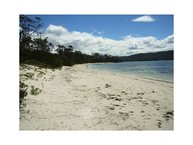 37  East Shelley Beach Road, Orford TAS 7190