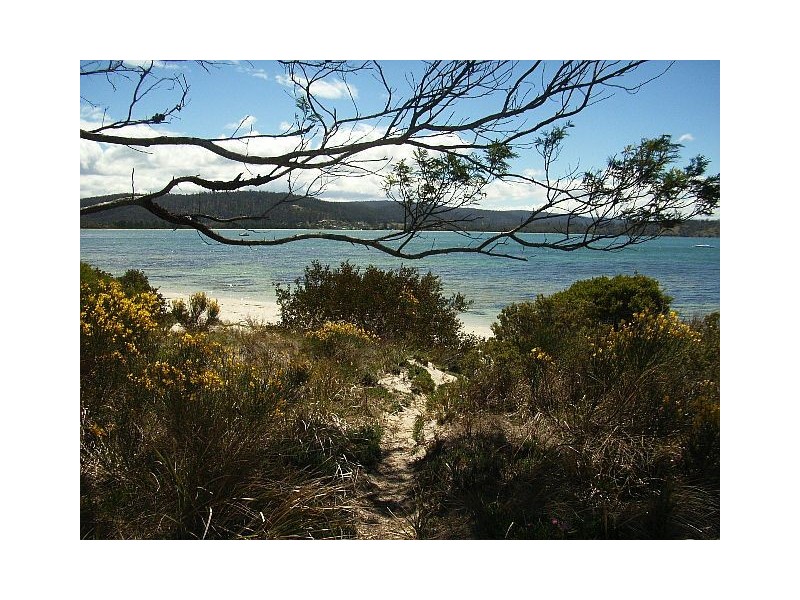 37  East Shelley Beach Road, Orford TAS 7190