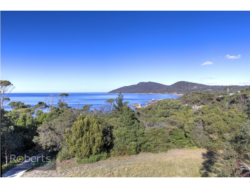 3 Foster Street, Bicheno TAS 7215
