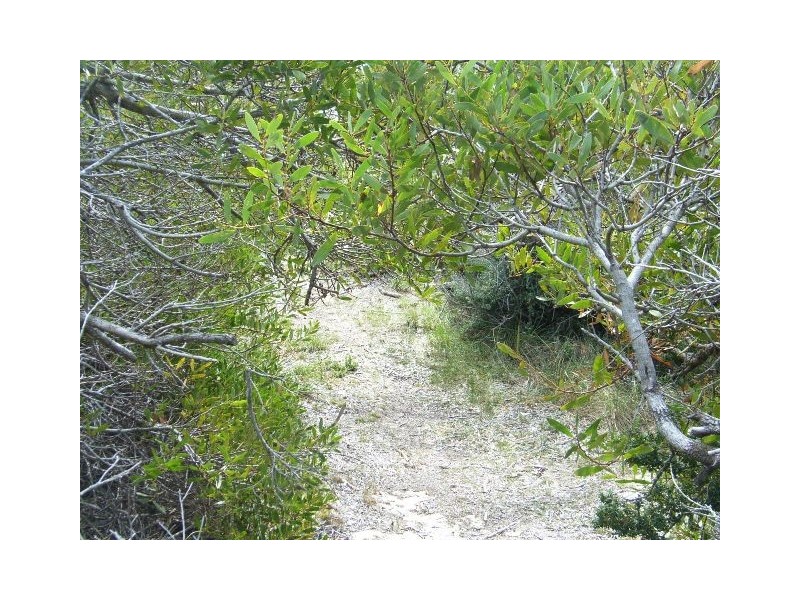 Lot 184 Dolphin Sands Road, Swansea TAS 7190