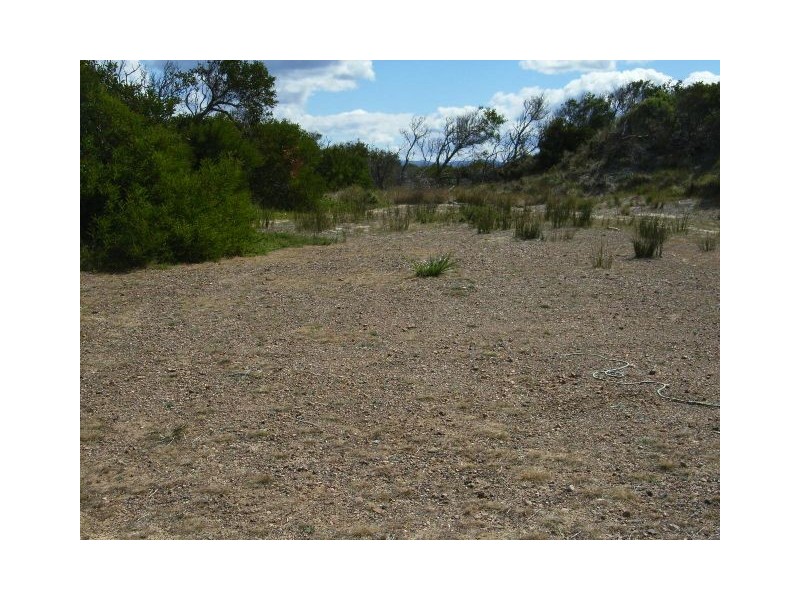 Lot 184 Dolphin Sands Road, Swansea TAS 7190