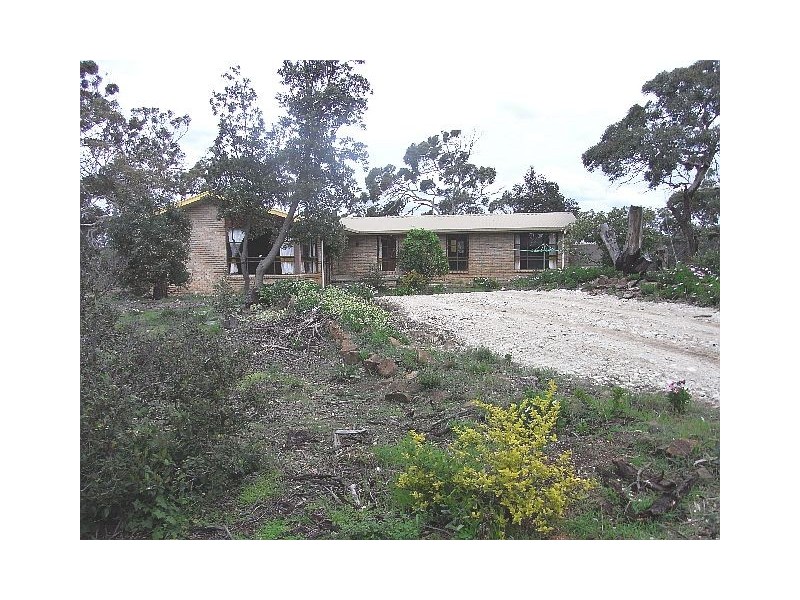 1298 Dolphin Sands Road, Swansea TAS 7190