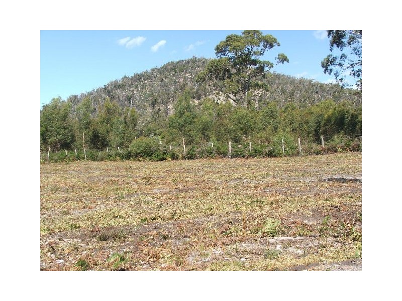 116  HARVEYS FARM RD, Bicheno TAS 7215