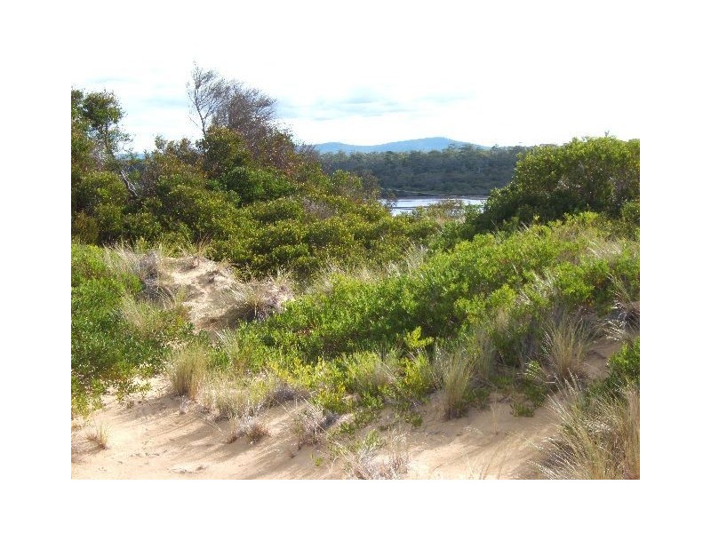 130  Yellow Sand Banks Road, Dolphin Sands TAS 7190