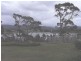 1 Lord Street, Triabunna TAS 7190