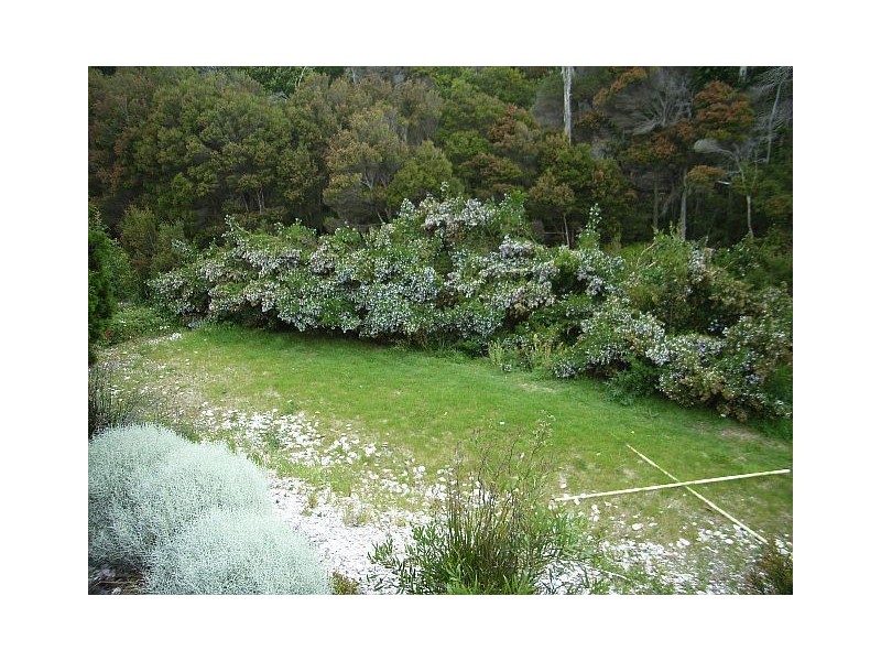 17 Redbill Drive, Bicheno TAS 7215