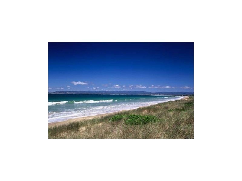 860 Dolphin Sands Rd, Swansea TAS 7190