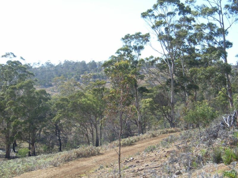 0 Off James Street, Swansea TAS 7190