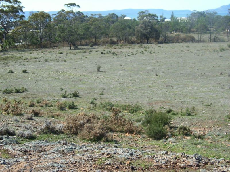 98 Gordon Street, Swansea TAS 7190