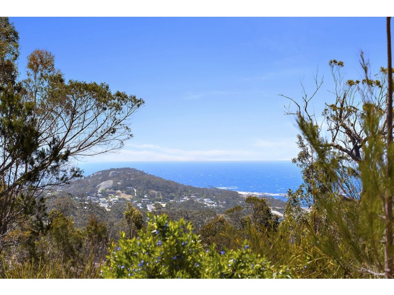 17498 Tasman Highway, Bicheno TAS 7215