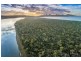 25724/4 Dolphin Sands Road, Dolphin Sands TAS 7190