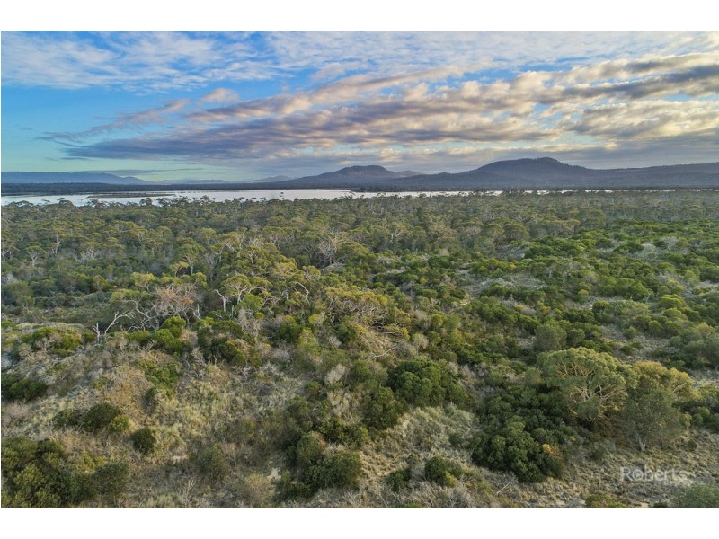 25724/4 Dolphin Sands Road, Dolphin Sands TAS 7190