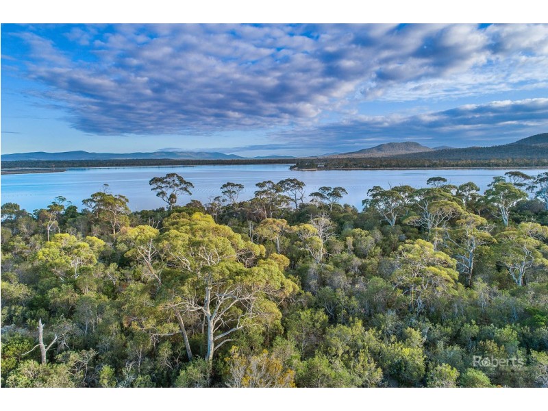25724/4 Dolphin Sands Road, Dolphin Sands TAS 7190