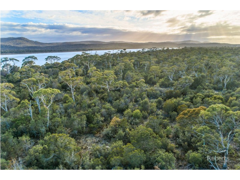 25724/4 Dolphin Sands Road, Dolphin Sands TAS 7190