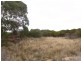 25724/4 Dolphin Sands Road, Dolphin Sands TAS 7190