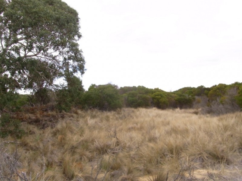 25724/4 Dolphin Sands Road, Dolphin Sands TAS 7190