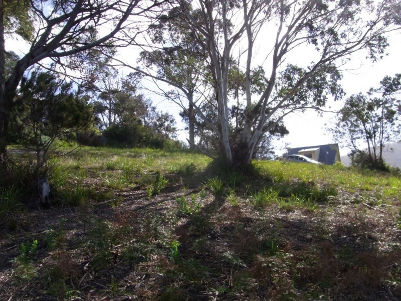 10 Nailer Avenue, Bicheno TAS 7215