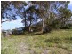 10 Nailer Avenue, Bicheno TAS 7215