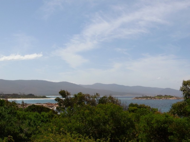 8 Waubs Court, Bicheno TAS 7215