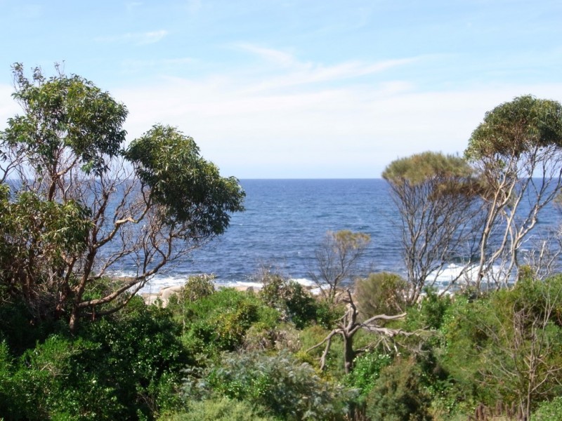 8 Waubs Court, Bicheno TAS 7215