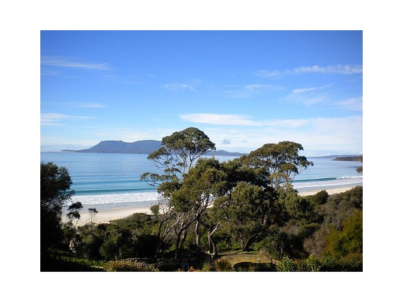 8 Ryans Road, Orford TAS 7190