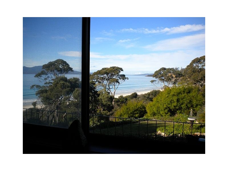8 Ryans Road, Orford TAS 7190