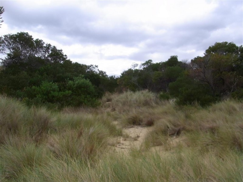 1119 Dolphin Sands Road, Dolphin Sands TAS 7190